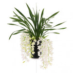 Carica l'immagine nel visualizzatore Galleria, Cymbidium Sarah Jean 'Ice Cascade'