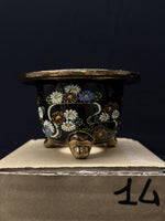 Carica l'immagine nel visualizzatore Galleria, Vaso per Neofinetia - Nishikibachi 錦鉢 - Japan Imported - misura 3.3" cod.14