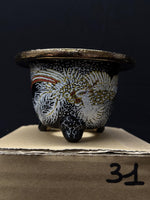 Carica l'immagine nel visualizzatore Galleria, Vaso per Neofinetia - Nishikibachi 錦鉢 - Japan Imported - misura 3.5" cod.31