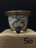 Carica l'immagine nel visualizzatore Galleria, Vaso per Neofinetia - Nishikibachi 錦鉢 - Japan Imported - misura 3.3" cod.50