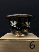 Carica l'immagine nel visualizzatore Galleria, Vaso per Neofinetia - Nishikibachi 錦鉢 - Japan Imported - misura 3.5" cod.6