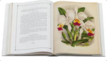 Carica l'immagine nel visualizzatore Galleria, LINDENIA Iconography of Orchids 1885-1906 - 5 volumi