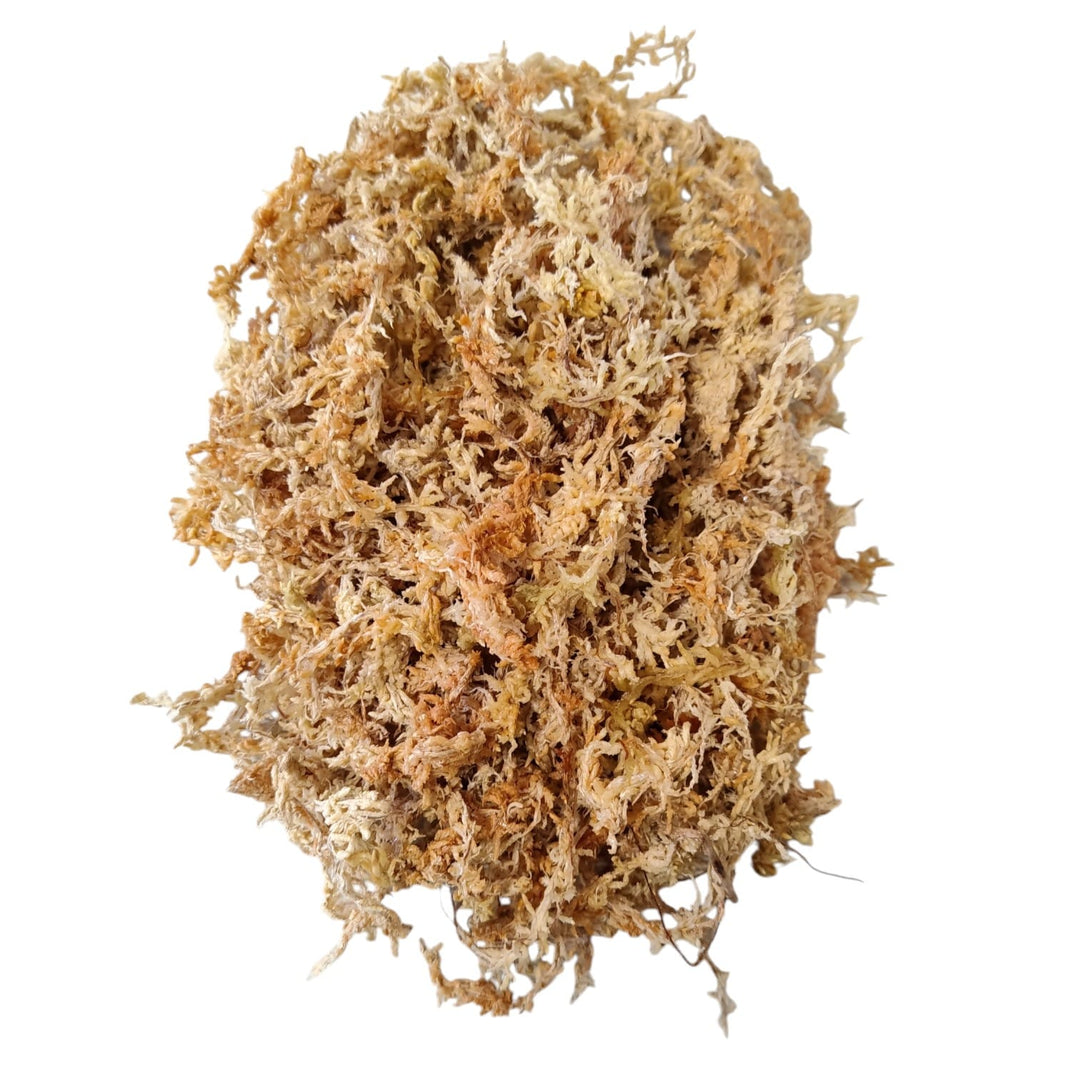 Sfagno neozelandese Premium a Fibra Lunga - One Mile Moss
