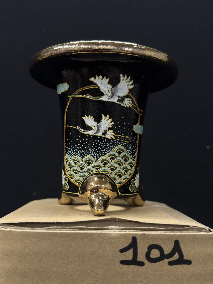 Vaso per Neofinetia - Nishikibachi 錦鉢 - Japan Imported - misura 3.5" cod.101