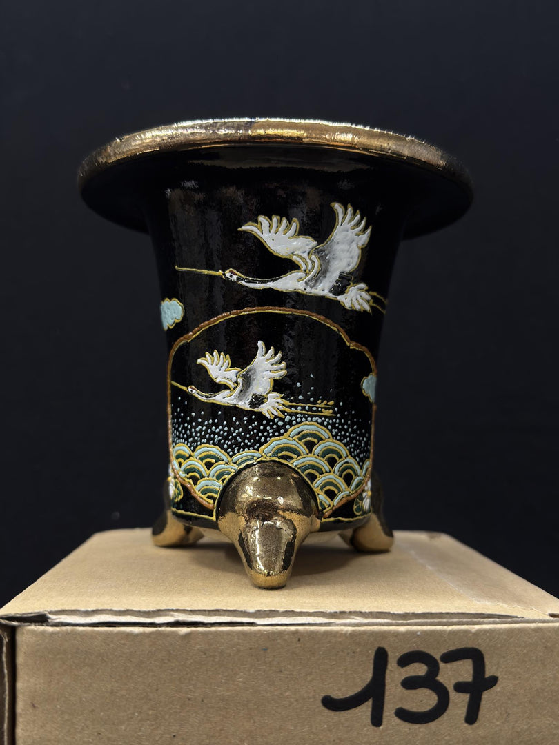 Vaso per Neofinetia - Nishikibachi 錦鉢 - Japan Imported - misura 3.5" cod.137