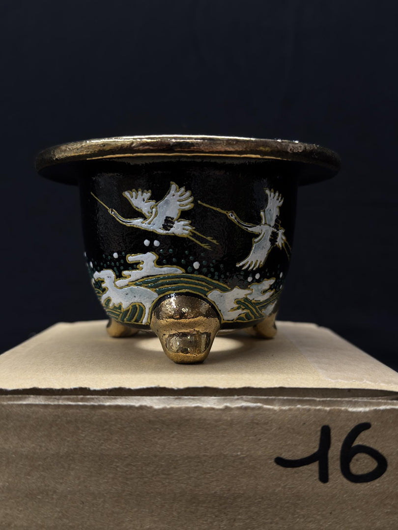 Vaso per Neofinetia - Nishikibachi 錦鉢 - Japan Imported - misura 3.3" cod.16