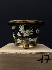 Vaso per Neofinetia - Nishikibachi 錦鉢 - Japan Imported - misura 3.3