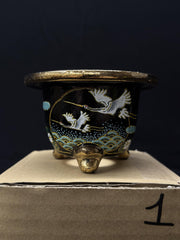 Vaso per Neofinetia - Nishikibachi 錦鉢 - Japan Imported - misura 3.5
