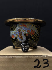 Vaso per Neofinetia - Nishikibachi 錦鉢 - Japan Imported - misura 3.5
