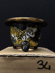 Vaso per Neofinetia - Nishikibachi 錦鉢 - Japan Imported - misura 3.3