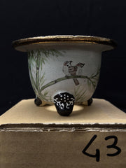 Vaso per Neofinetia - Nishikibachi 錦鉢 - Japan Imported - misura 3.3