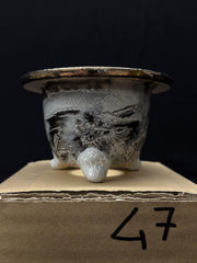 Vaso per Neofinetia - Nishikibachi 錦鉢 - Japan Imported - misura 3.3