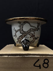 Vaso per Neofinetia - Nishikibachi 錦鉢 - Japan Imported - misura 3.3