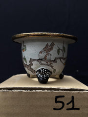 Vaso per Neofinetia - Nishikibachi 錦鉢 - Japan Imported - misura 3.3