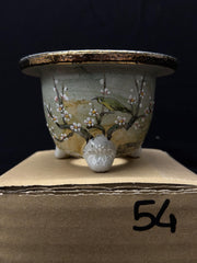 Vaso per Neofinetia - Nishikibachi 錦鉢 - Japan Imported - misura 3.5
