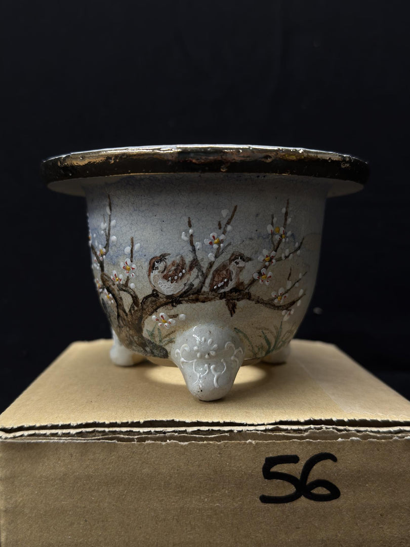 Vase for Neofinetia - Nishikibachi 錦鉢 - Japan Imported - size 3.5" cod.56