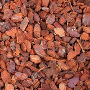 Corteccia (Bark) medio medio (5 L)