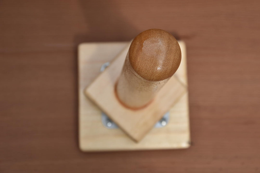 Supporto rotante per il rinvaso delle Neofinetia